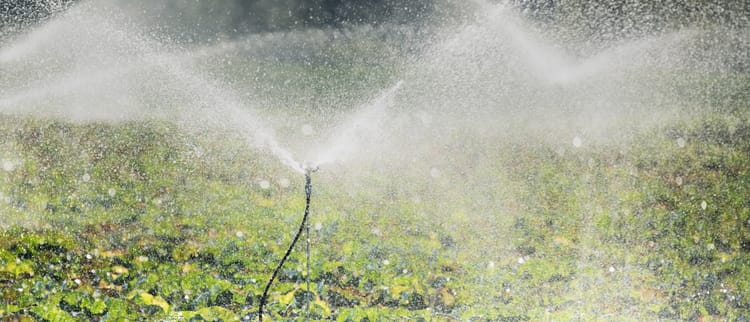 点滴灌漑スプリンクラーヘッド、調整可能な点滴エミッター
