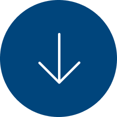 Download 2025 Catalog