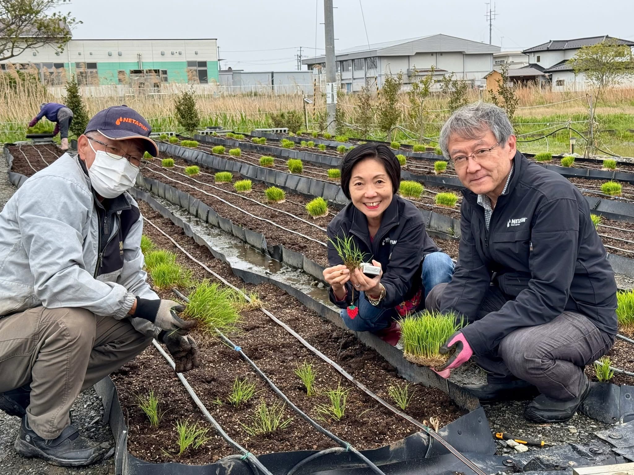 日本の伝統的な田植えとイスラエルの先進技術が融合。サステナブルな