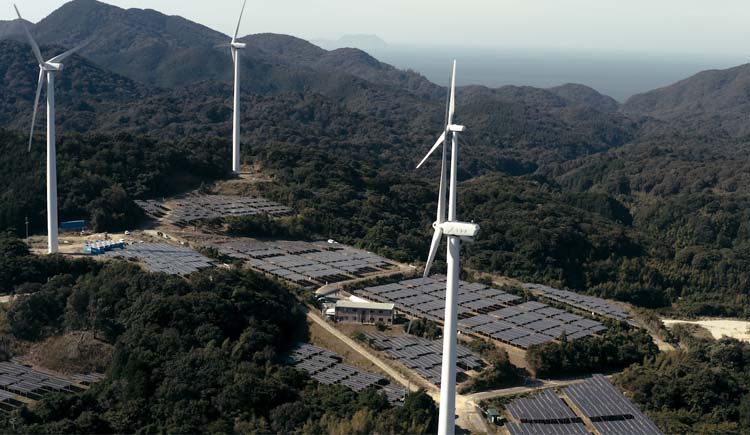 再生可能エネルギー分野との協業】ソーラーパネルの下で茶葉を栽培し