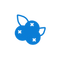 Blueberries