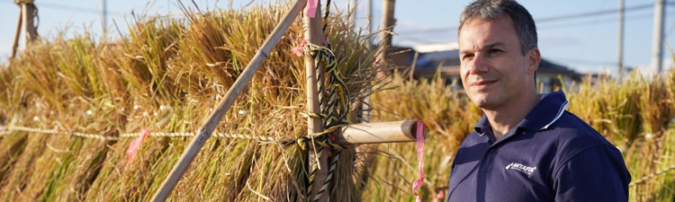 Banner 東北支援として潅水システムを提供した宮城県にある陸稲畑にて初の収穫に参加